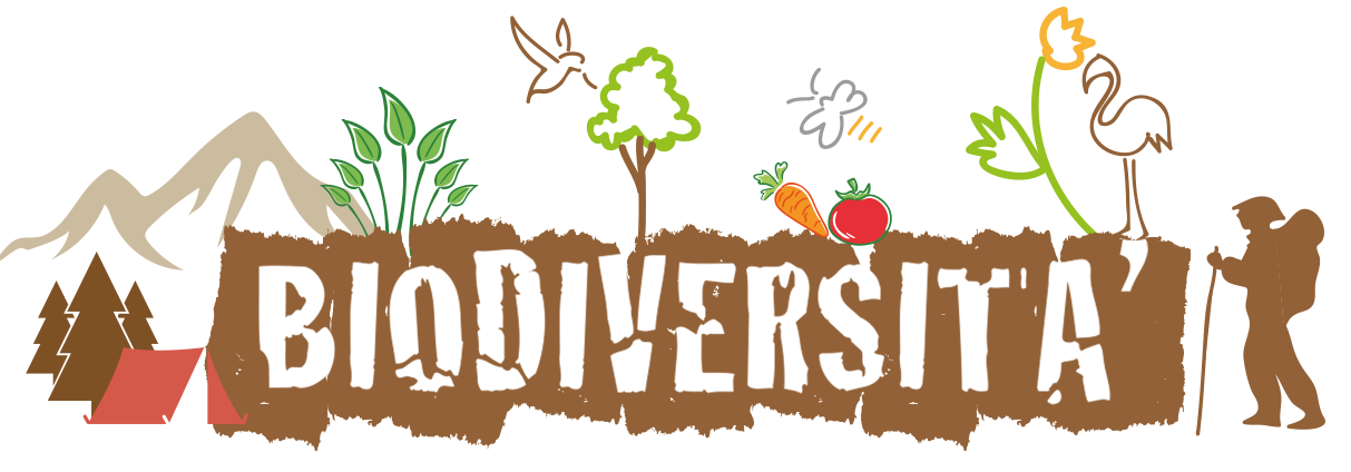 banner_biodiversita